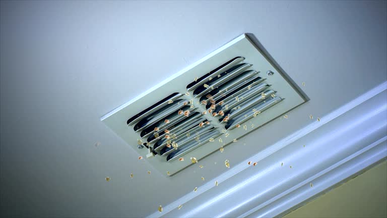 Best Ductwork Cleaning Services  in Ellijay, GA