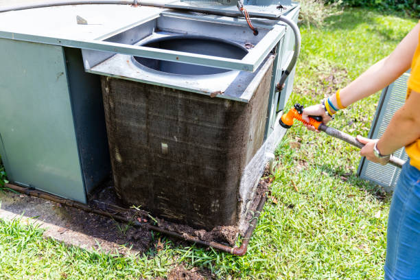 Best Home Air Vent Cleaning  in Ellijay, GA