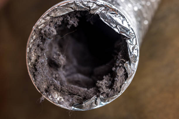 Best Affordable HVAC Duct Cleaning  in Ellijay, GA
